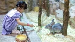 -宝燕乐园(闵行旗舰店)