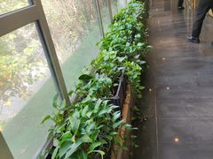 -一澜江宴·江景地标楚菜(江滩公园店)