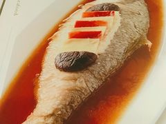 清蒸鲥鱼-同庆楼(金宝汇店)