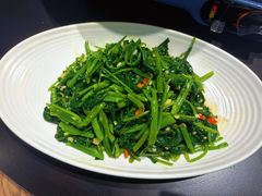 -滇铺子·云南特色菜·第九届野生菌美食节(曲靖万达店)