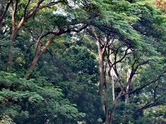 -广州市白云山风景名胜区