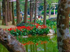 -人民公园(罗湖区)