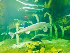 -华夏文旅海洋公园