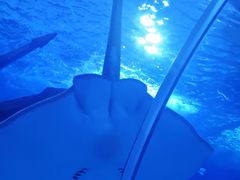 -多彩贵州城极地海洋世界