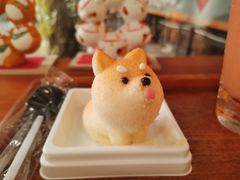 柴犬蛋糕-柴犬高等学院·狗咖·柴犬售卖·宠物训练