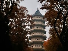 -灵谷景区