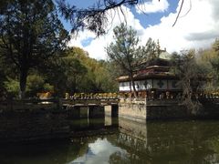 iphone_upload_pic-罗布林卡