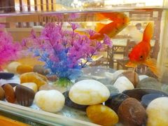 -金穗园·砂锅粥.醉鸡煲火锅(长寿路店)