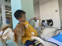 -怪兽屋·羊驼·猫咖·狗咖(俊华广场店)