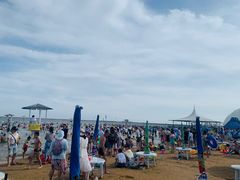 -碧海金沙