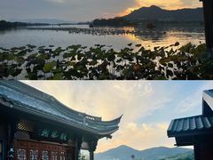 -茗醉园茶楼
