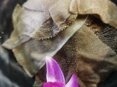 -龙虾风暴(松江店)