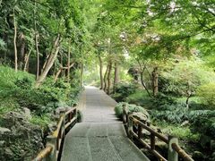 -杭州植物园