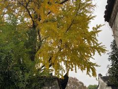 -惠山古镇·寄畅园