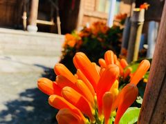 -福建鲤鱼洲酒店