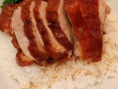 -锦园春香港茶餐厅(西海湾旗舰店)