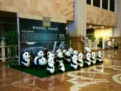 -中国死海旅游度假区