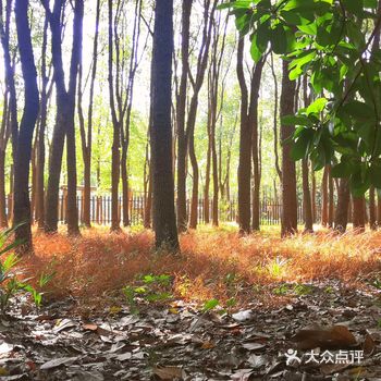 魔都这二天暖阳如春，快抓住这大好时光，约上小伙伴