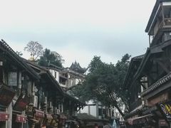 -胖娃古镇鸡杂(磁器口总店)