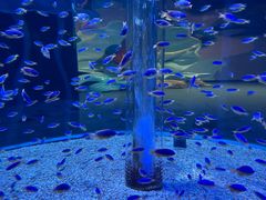 -海合安成都极地海洋公园