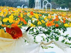 -名花谷生态庄园