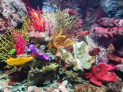 -太平洋海底世界