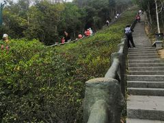 -梧桐山风景名胜区