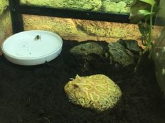 -青岛海底世界-水族馆