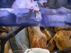-正佳雨林生态植物园