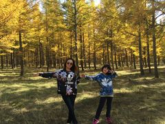 -塞罕坝国家级自然保护区