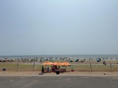 -日照海滨国家森林公园