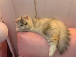 -Beauty Nails 美甲美睫皮肤管理
