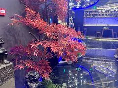 -大桶大足浴(瞿溪路店)