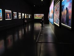 -罗红摄影艺术馆