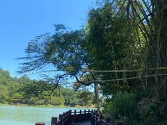 -通辽森林公园