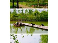 -泗洪洪泽湖湿地景区