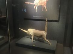 -甘肃省博物馆