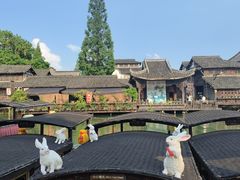 -乌镇景区