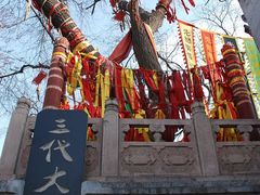 -大槐树寻根祭祖园