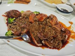 -丁老爷子苏香圆