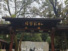 -白马涧龙池景区