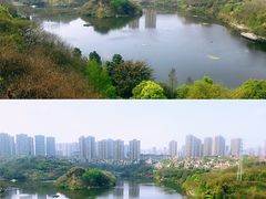 -重庆彩云湖湿地公园