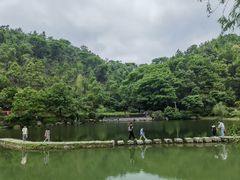 -桃花岭景区