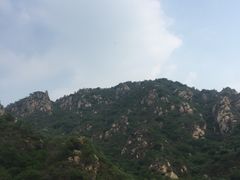 -大岭沟猕猴桃谷风景区