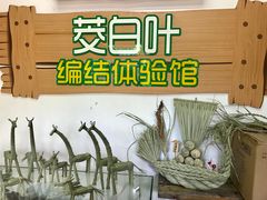 -练塘古镇