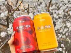 -大鸭梨烤鸭(望京店)