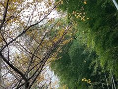 -九龙潭景区