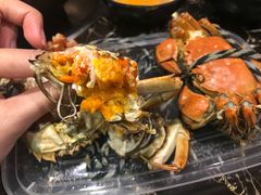 -黄记大闸蟹专卖店·活蟹·醉蟹