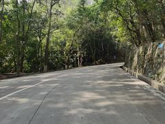 -火炉山森林公园