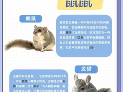 -爱侣宠医·鹦鹉专科·小型哺乳类·异宠专科(灵石路店)